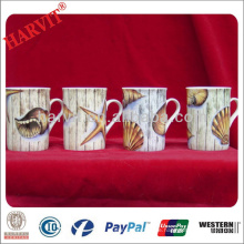 China-Hersteller-Trinkbecher-Becher-Becher / weiße Porzellan-Abziehbild-Becher-Becher 9OZ / feiner weißer Becher mit Seashells-Starfish-Abziehbild-Druck